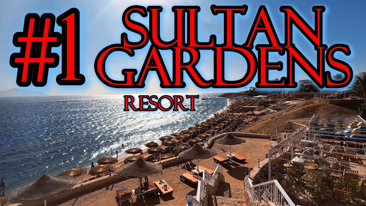 Отдых в Египте / Sultan Gardens Resort 5* / #1