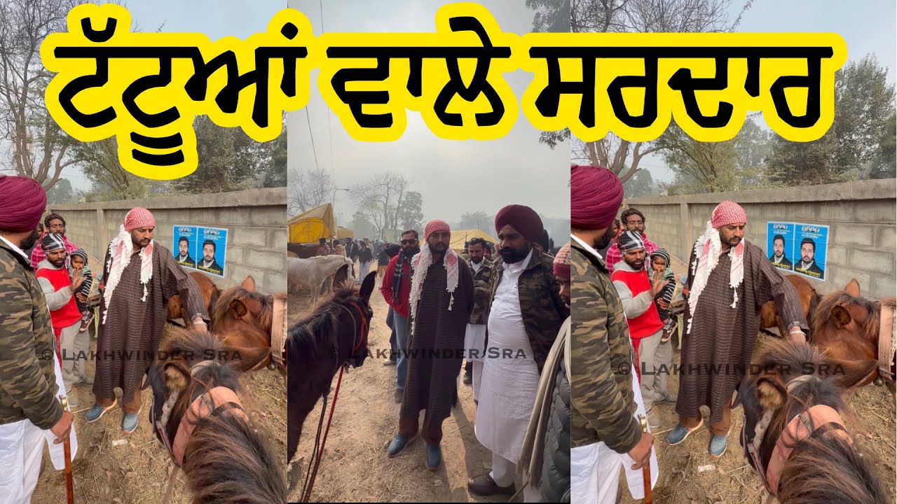ਟੱਟੂਆਂ ਵਾਲੇ ਸਰਦਾਰ ਪਹੁੰਚੇ ਘੋੜਿਆਂ ਦੇ ਮੇਲੇ ਚ ਮੁਕਤਸਰ