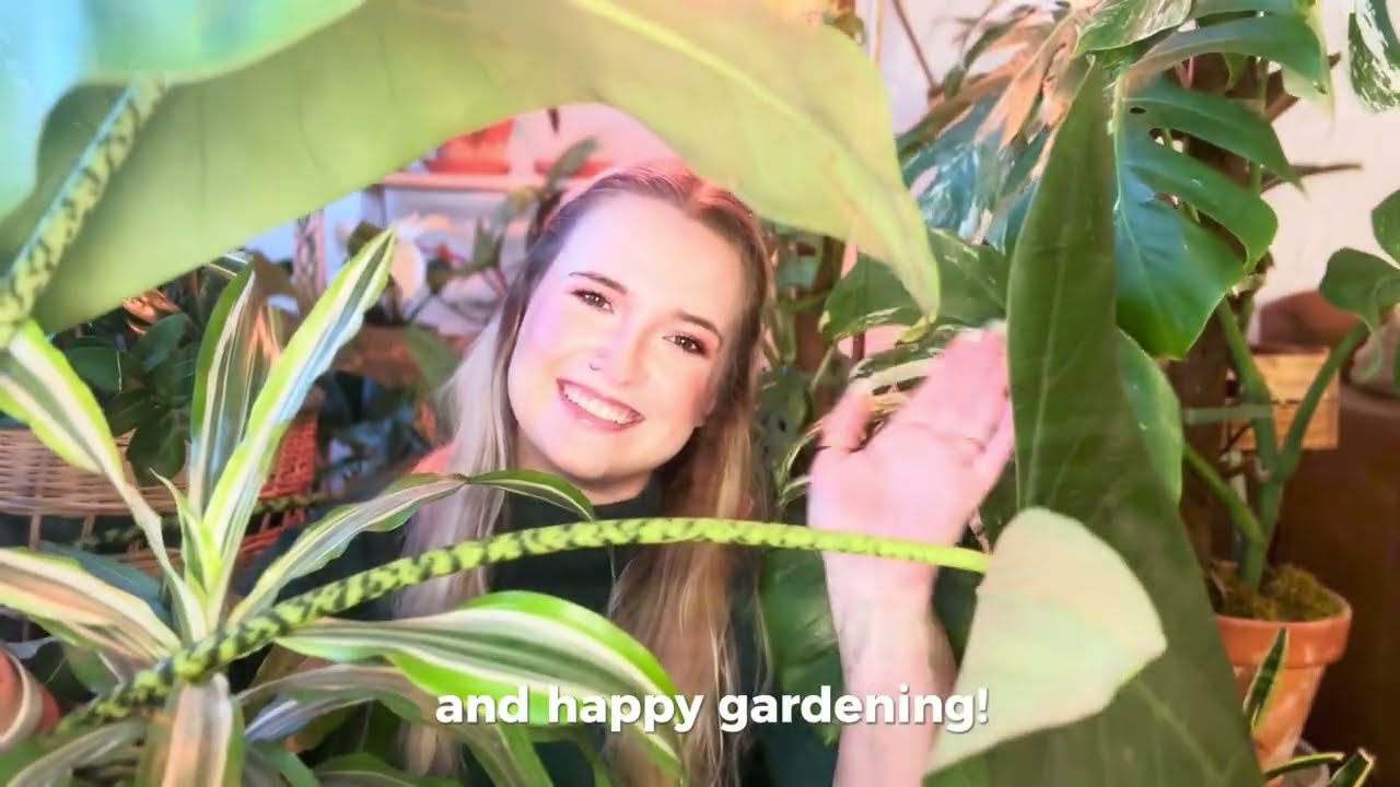 Self Watering Dripper for Tropical & Drought-Tolerant Plants Best Plants for the Dynamic Dripper
