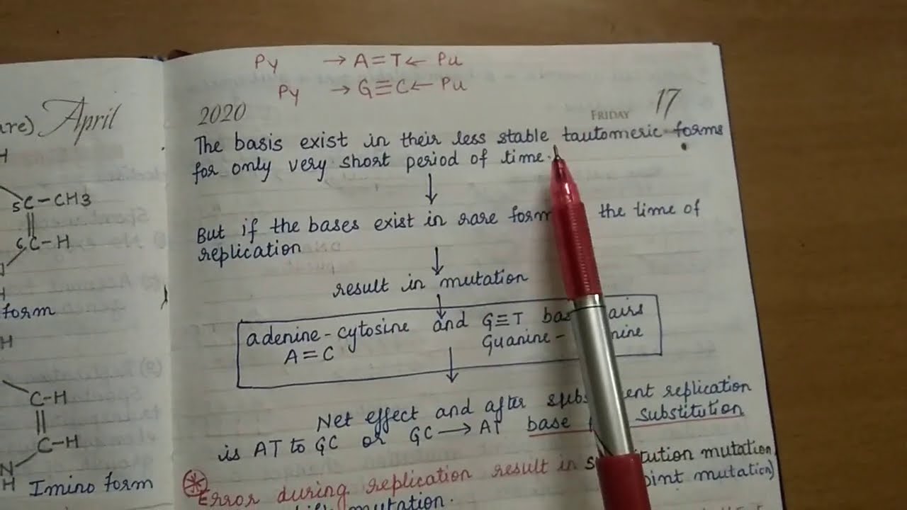 Gene Mutation 1
