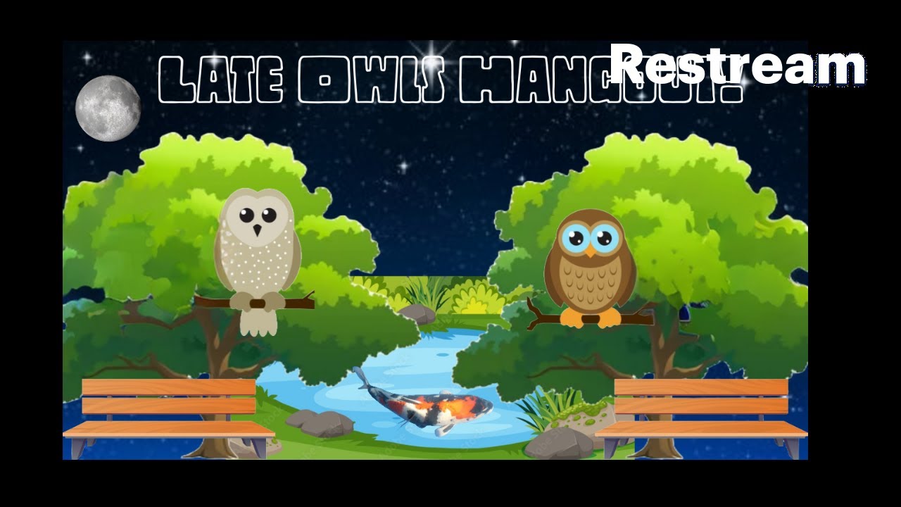 Saturday Night owls!🦉 🦉🦉with possibly new guests?!😮