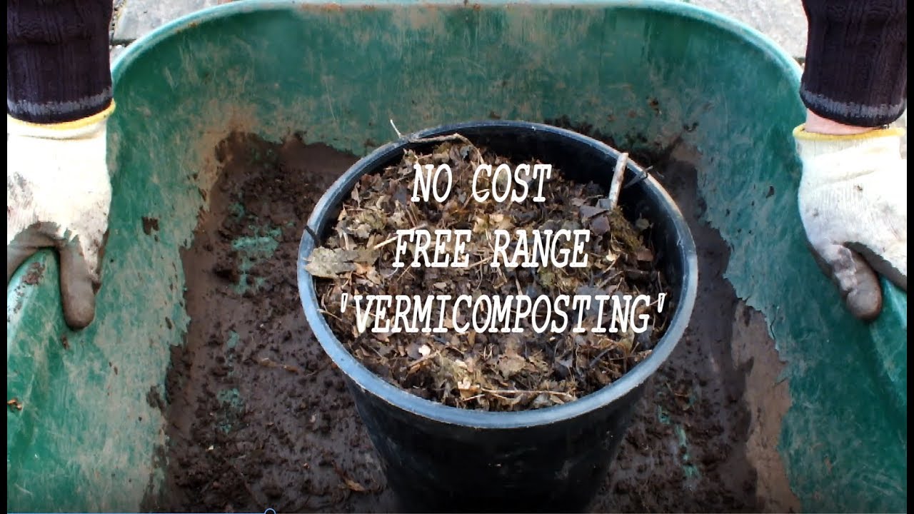Make Free Vermicompost  No Cost Vermicomposting