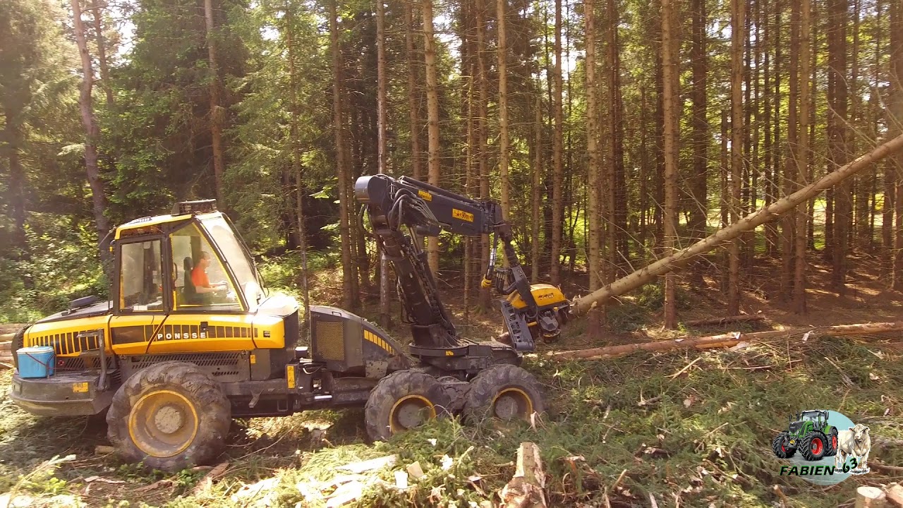 [Drone] Abatteuse forestière Ponsse 🌲 - Abattage plantation - 2020