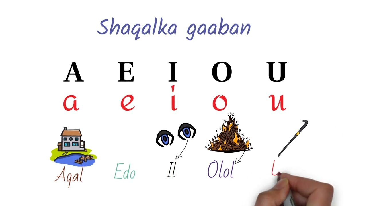 Shaqalka gaaban.
