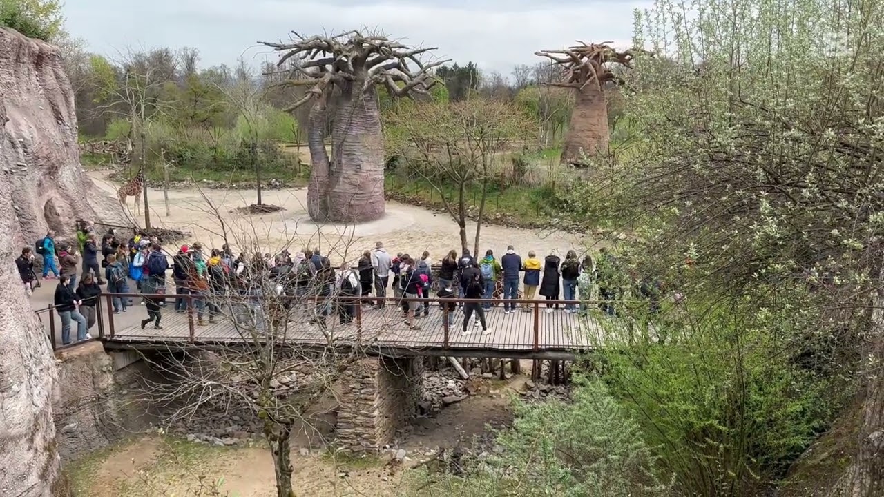 Zoo Zurich