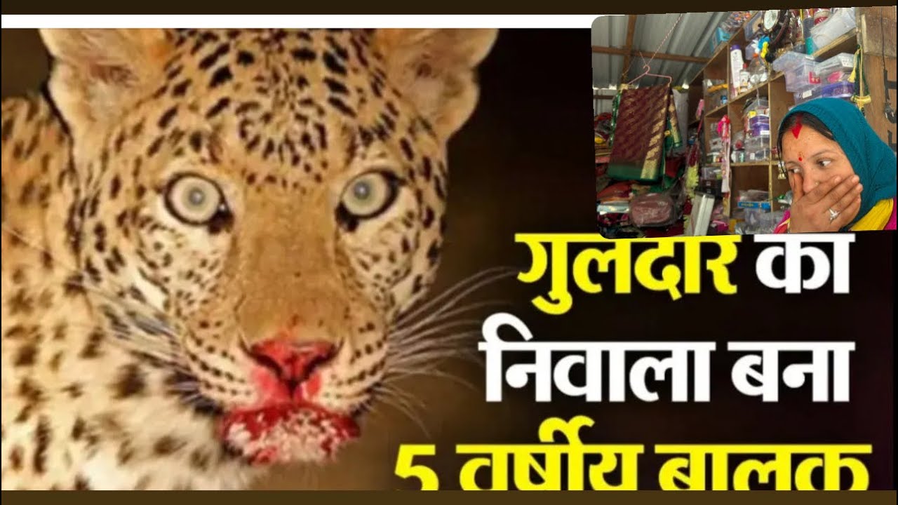 ये सब क्या हो गया हमारे इधर 😭चाकू मार कर हथिया कर दि लड़की की@deepanegipahadi7733 