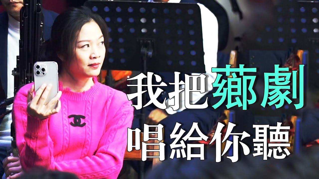 我把薌劇唱給你聽！#福建漳州阿梅木偶戯 #中華傳統文化 #提線木偶 #木偶戲