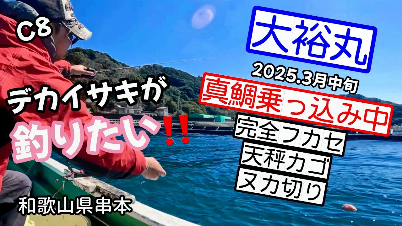 C8【これでもか‼️意地になって真鯛とイサキを狙ってみた結果🔥】和歌山県串本：大裕丸