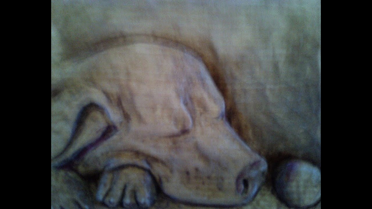 Schaaf Tools  Beginner Carving of a Dog.