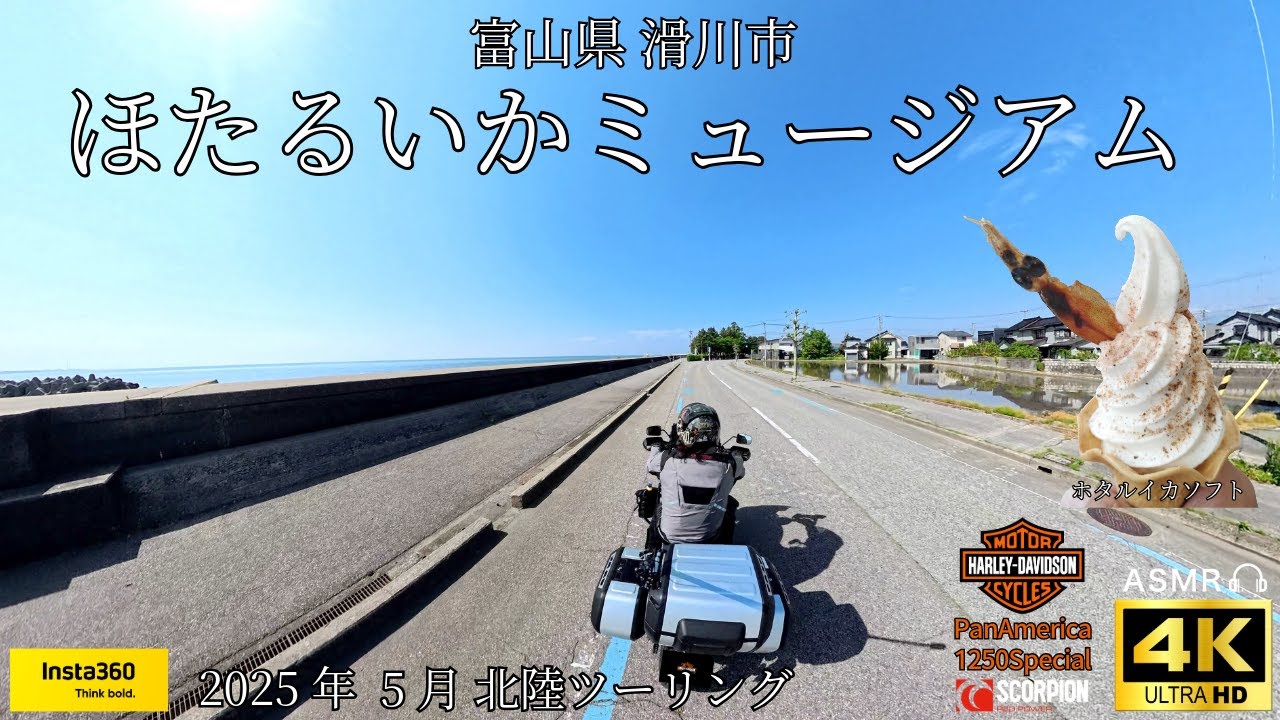 ほたるいかミュージアム（富山市岩瀬~滑川市）【北陸/富山県ツーリング】HarlayDavidson Panamerica1250Special/2025年5月/SSTRの帰り道にオススメ