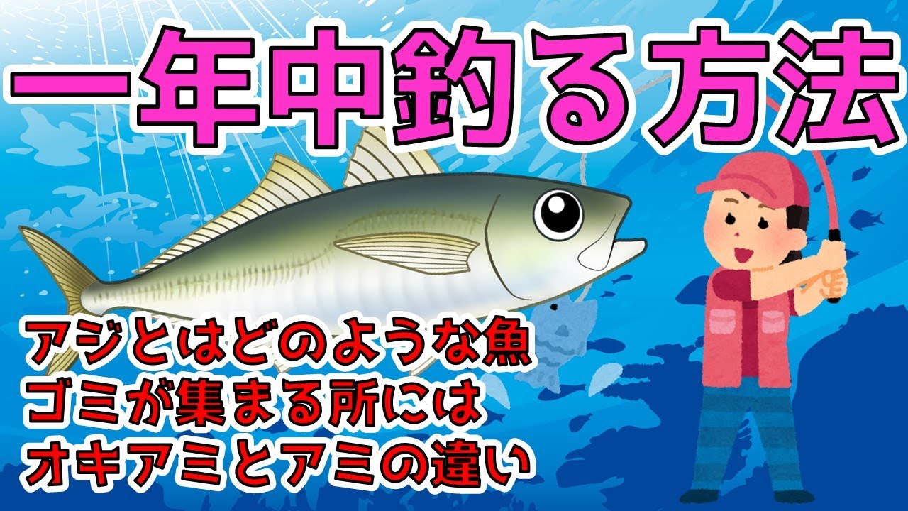 【アジング春夏秋冬】アジとは/アタリとアワセ/ゴミがある場所/オキアミとアミの違い