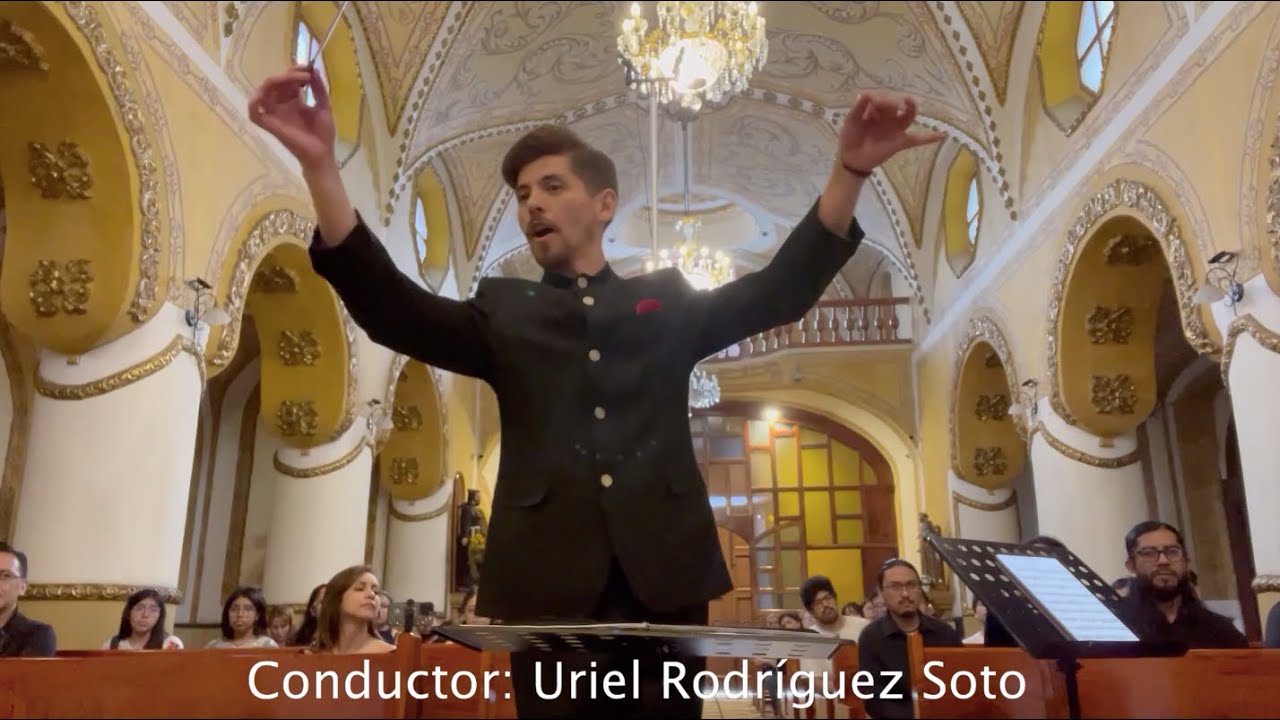 Albinoni Oboe Concerto in D minor, Op.9, No.2