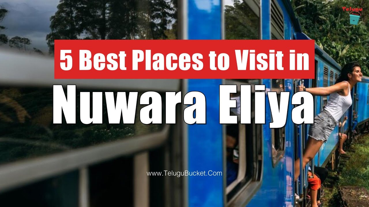 Top 5 Places to Visit in Nuwara Eliya | Sri Lanka Tourist Places | Telugu Bucket