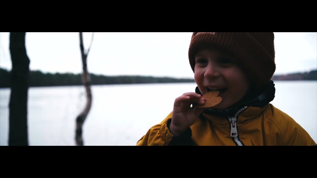 Joensuu autumn forest trip