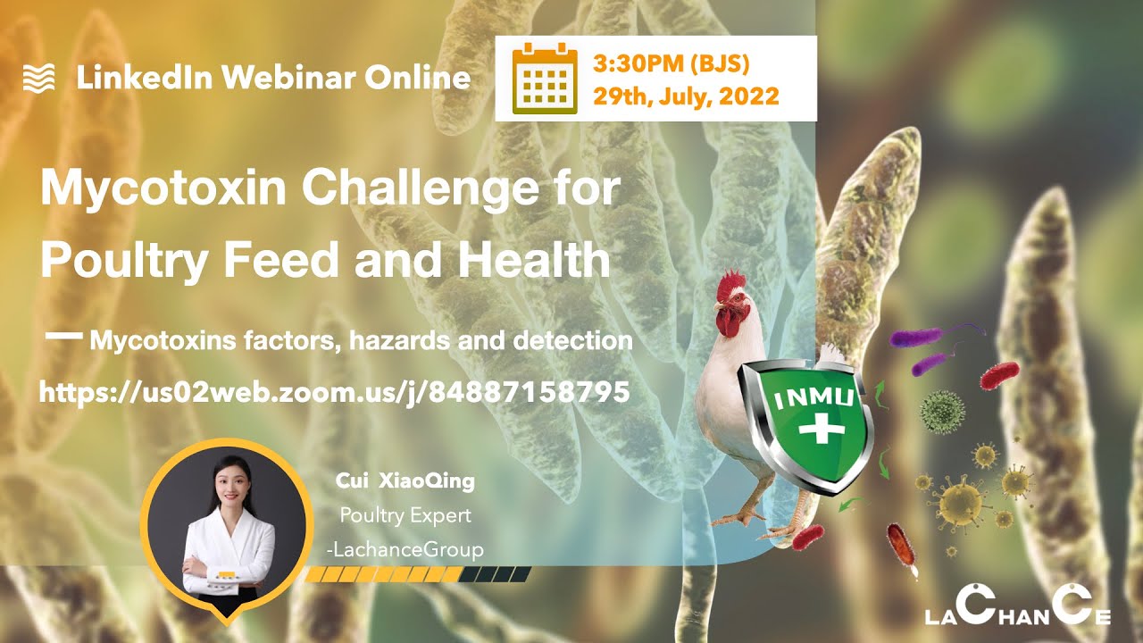 LinkedIn Webinar Online || Mycotoxin Challenge for Poultry Feed and Health
