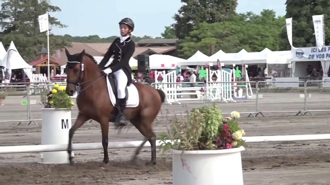 REPRISE DE DRESSAGE | Reprise Club Elite GP : Commentées par Isabelle Judet – Juge 5* Internationale