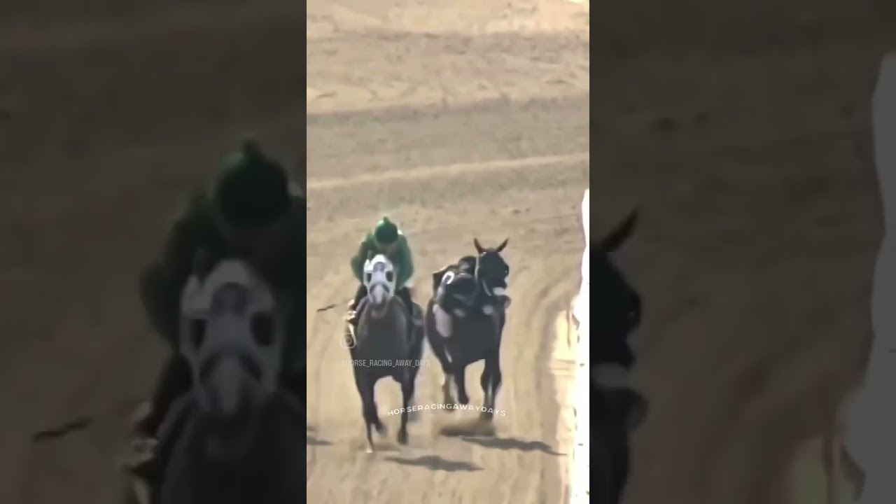 💪🏇🏿🚀 #workhorse jockey hero!