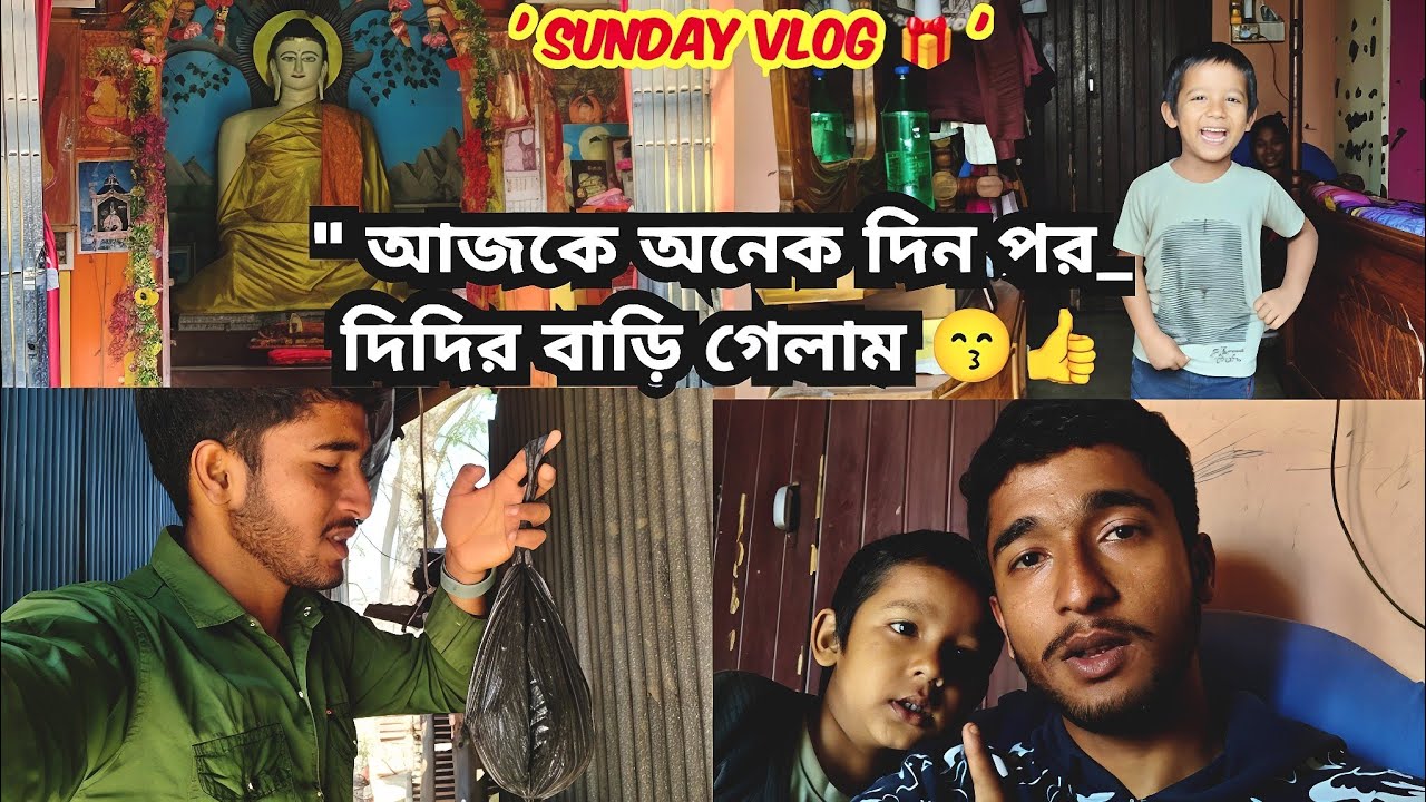 Sunday Vlog 🎁 || আজকে দিদির বাড়ি গেলাম 😙 || Youtube Vlog 2026 || #vlog #2026 #parthavlog #partha 