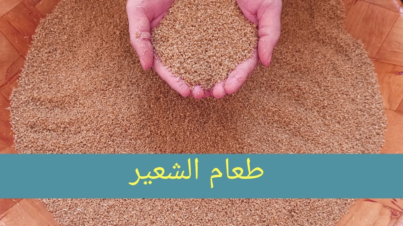 فتيل كسكسي الشعير بطريقة ولا أسهل