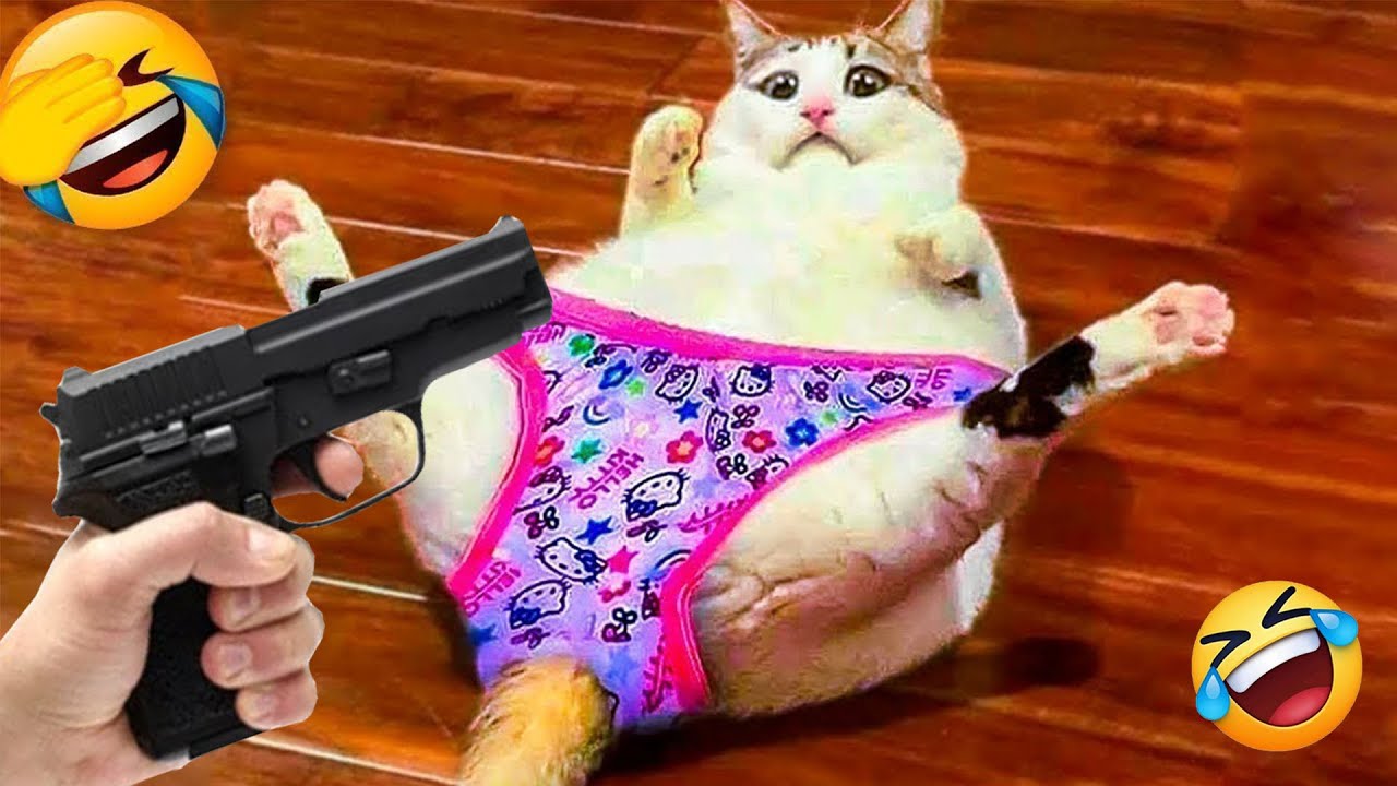 You Laugh You Lose 😹 Funniest Cats and Dogs 2026😄 Part 7