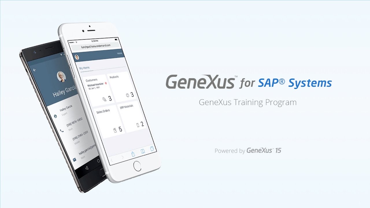 Getting started with GeneXus: creating a new GeneXus application