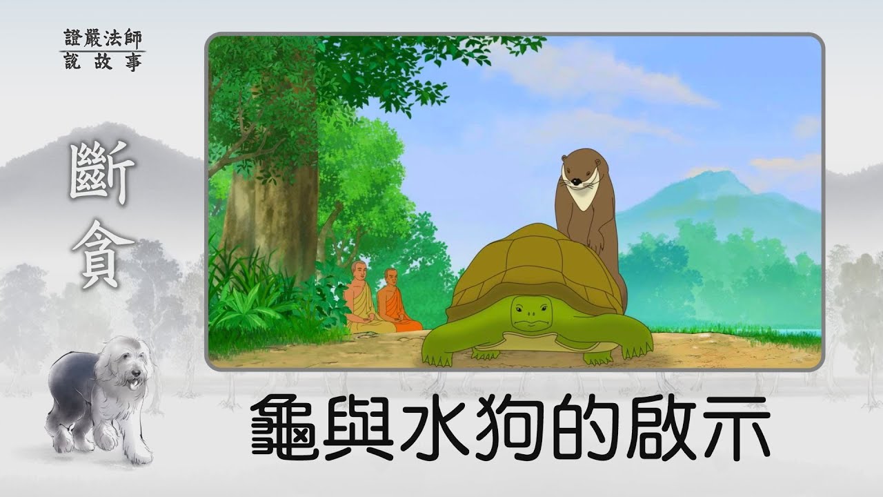 【證嚴法師說故事】龜與水狗的啟示~何時才能恍然大悟，轉迷為悟？- 20221106