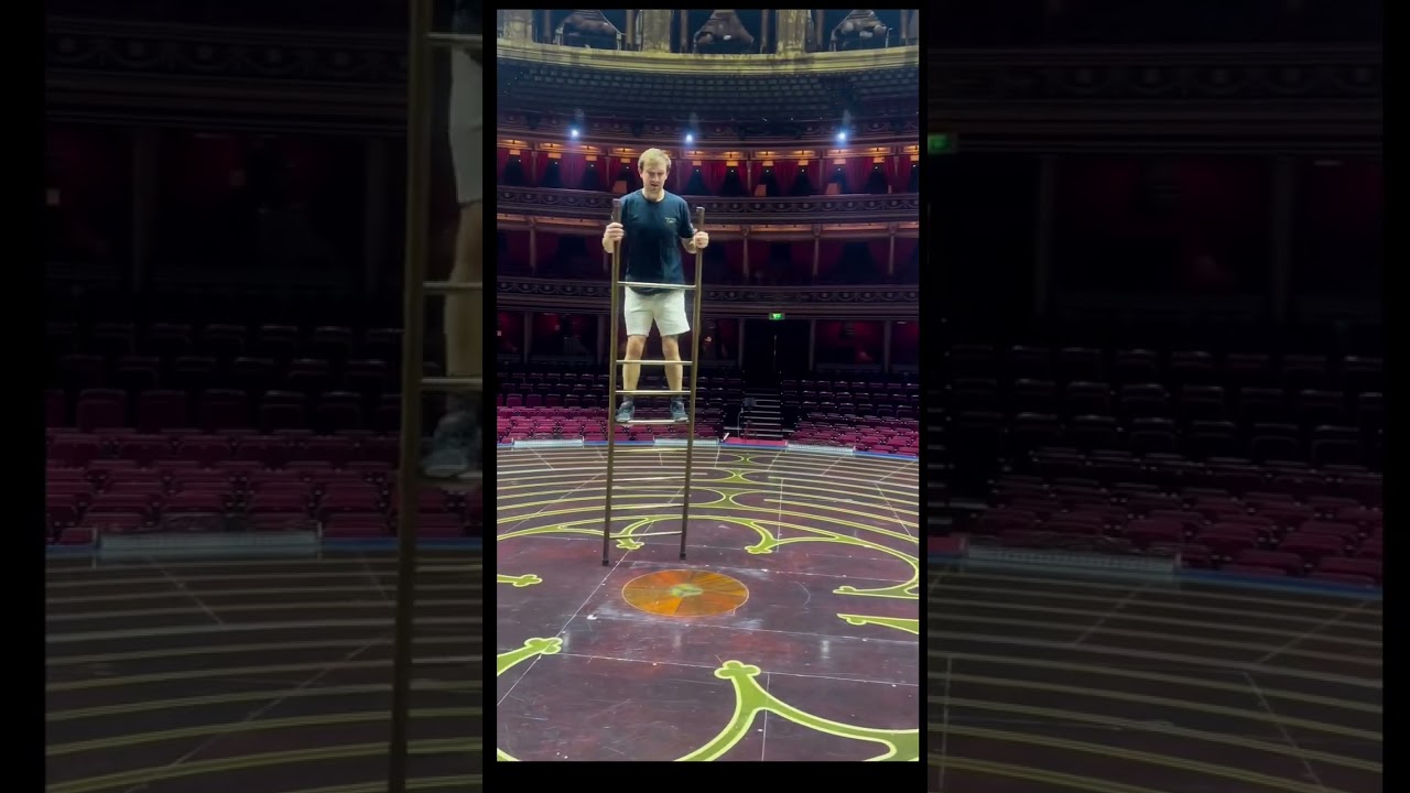 some ladder fun a day keeps the bad vibes away 