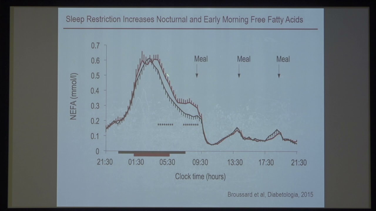 Esra Tasali (Univ of Chicago) - Sleep and metabolic health