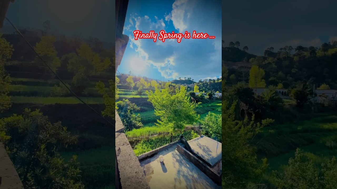 Well come spring #unfrezzmyaccount #potohari #azadkashmir #travel #unfrez #home #love #triopackage