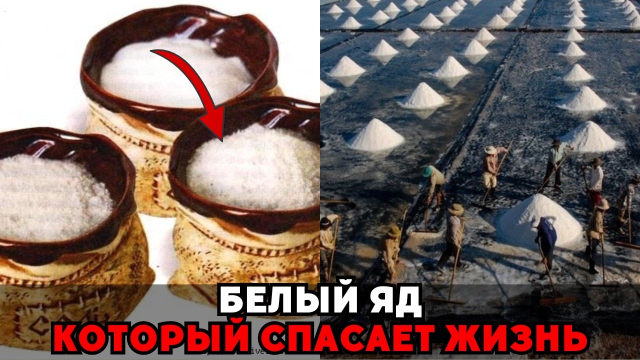 «БЕЛАЯ СМЕРТЬ», КОТОРАЯ СПАСАЕТ: Тайна соли, которую от нас скрывают!