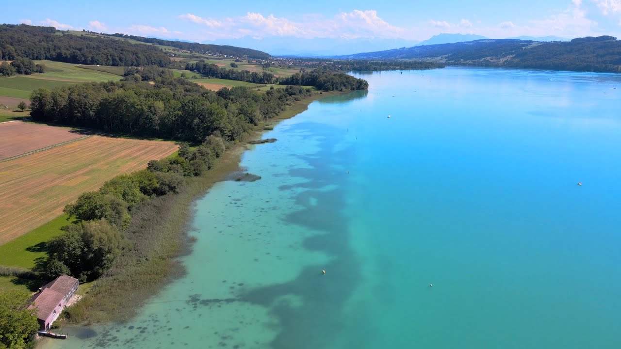 Hallwilersee Full Shore Birdview Mavic Air 2 (August 2020)