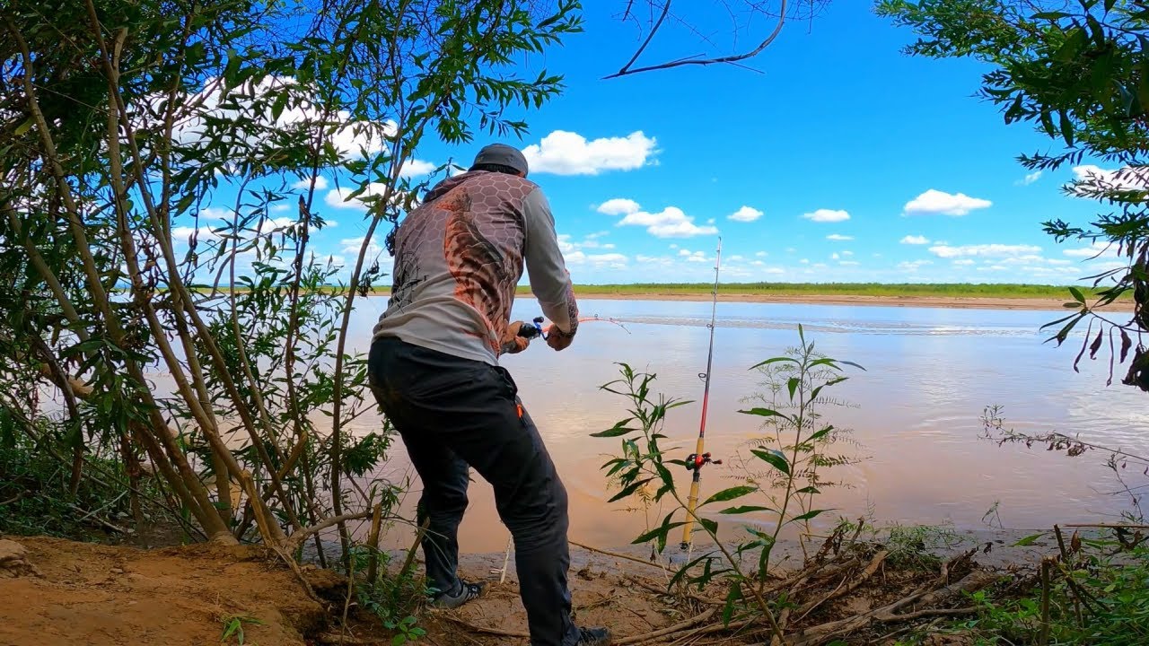 RIO BERMEJO siguen SALIENDO los BAGRES con LA CARNADA MAS EFICAZ
