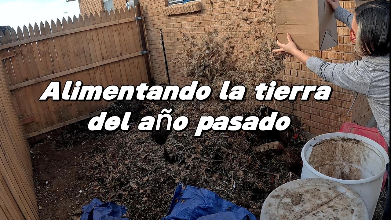 Alimentando la tierra del año pasado #huerto