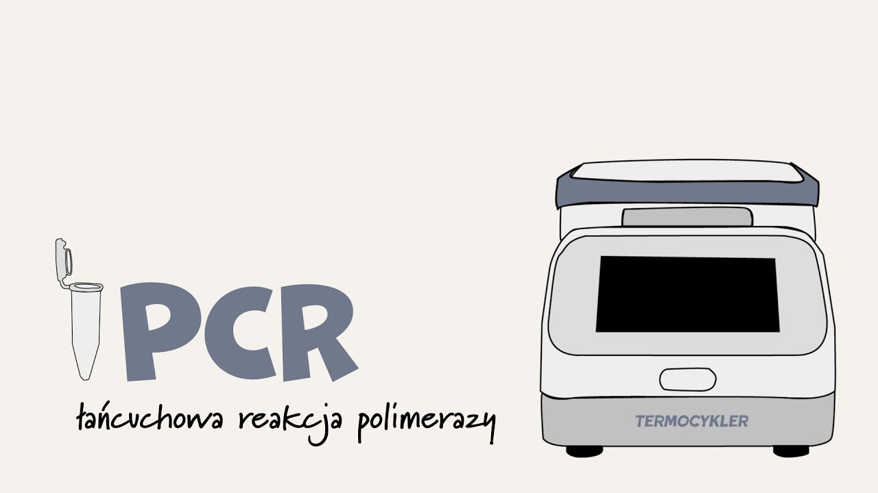 PCR na gorąco! 🔥 Jak powielić DNA w probówce | Łańcuchowa reakcja polimerazy | | MATURA 2026