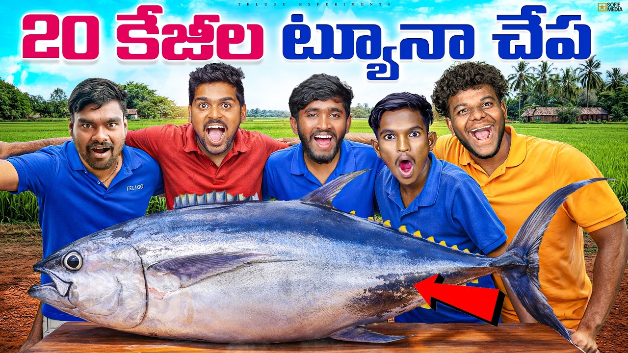 20 Kg BIG GIANT TUNA FISH CURRY Gone Amazing 😍🔥 Telugu Experiments