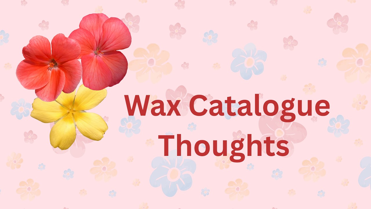 Thoughts on New Catalogue. Whats coming