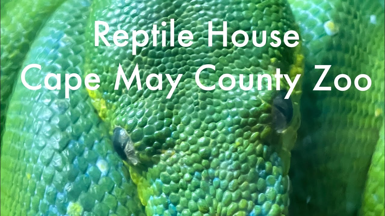 Reptile House at Cape May County Park + Zoo