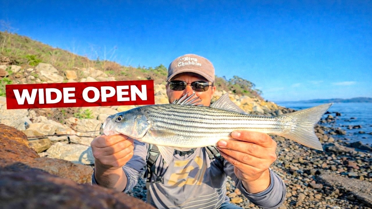 Is This the Best Lure for Striped Bass? - I Couldn't Keep Them Off It