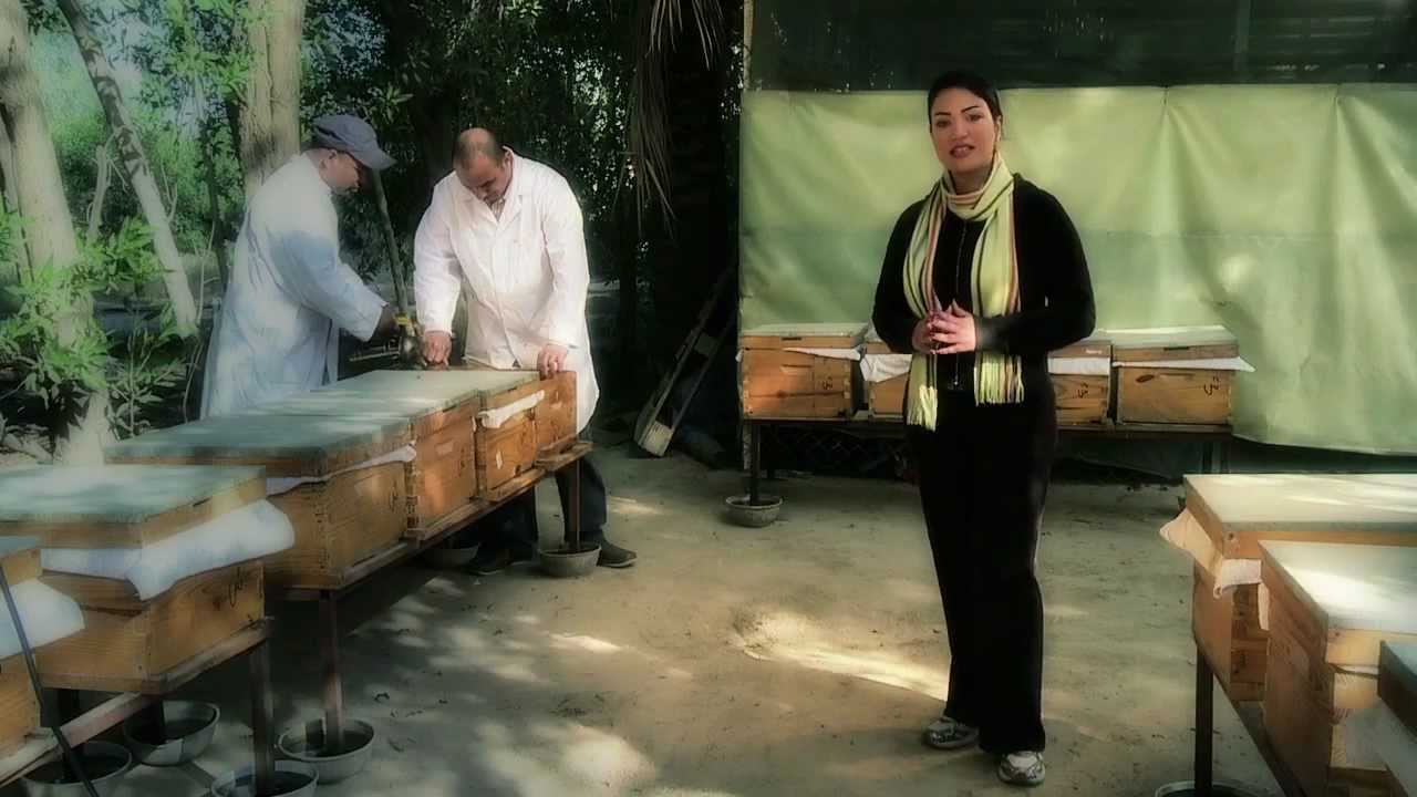 (15) فوائد تربية النحل وتجهيزات المنحل ح١