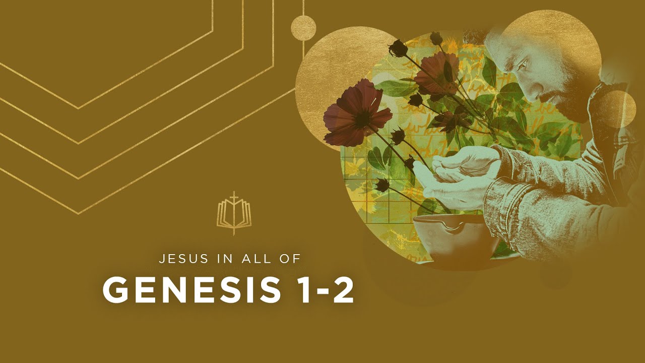 Genesis 1-2 | Creation | Bible Study