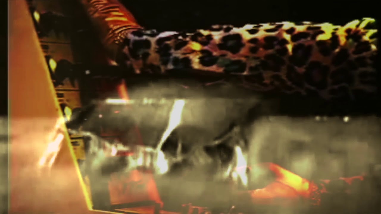 Liron Amram - Midian - לירון עמרם - מדין