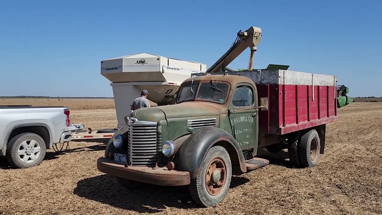1947 International Grain Truck Hauling Becks Soybeans
