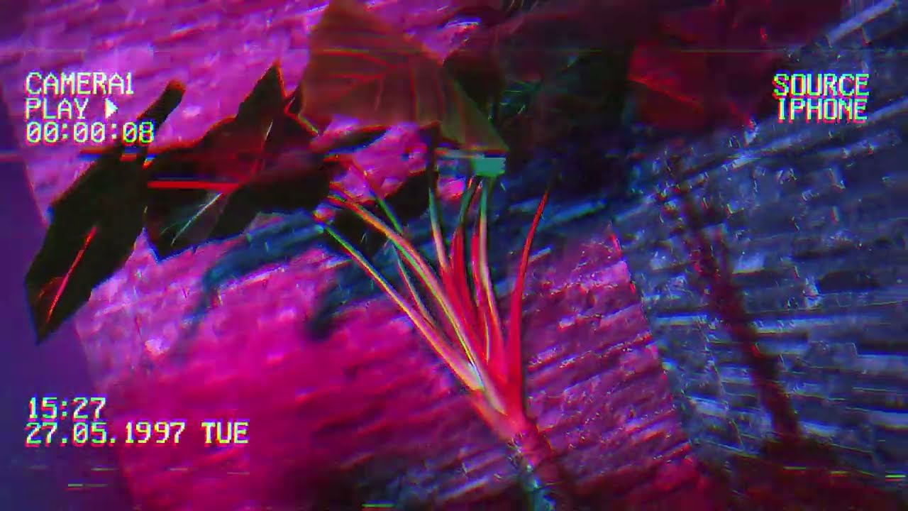 Degree Deh - Sex’Valentin 🫦 ( instrumental by @beatsbyrockstar )