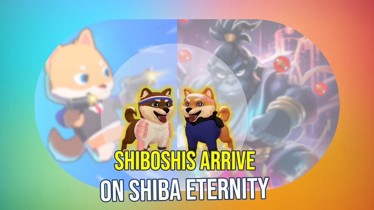 Shiboshi Arrive: NFTs & Gaming Fun Explained