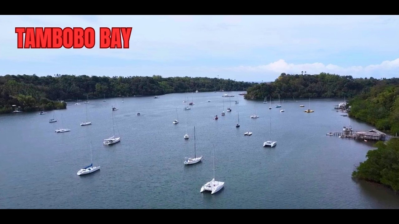 Why International Yachts Hide in Tambobo Bay During Typhoon Season