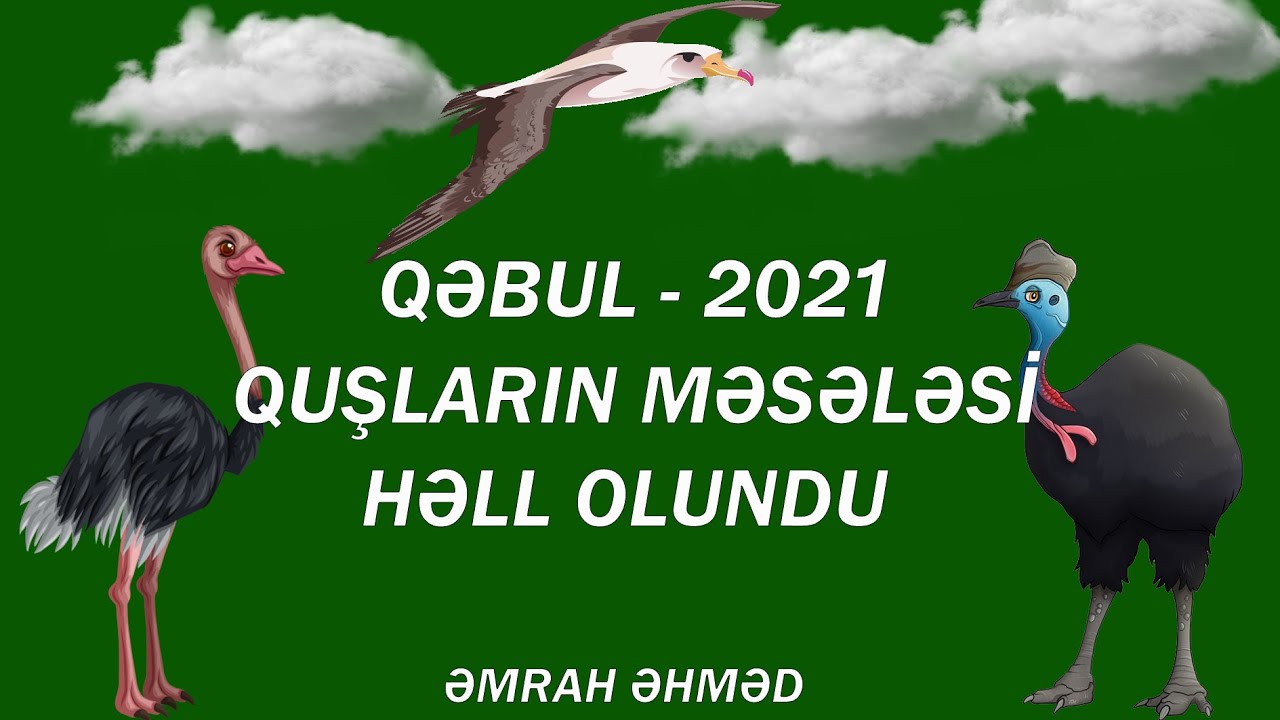 QUŞLAR MƏSƏLƏSİ (Qəbul Sualı 2021)