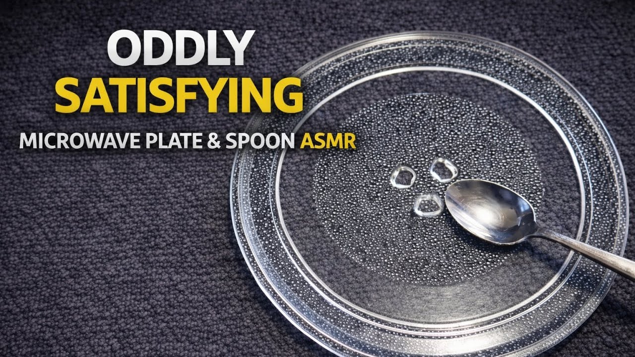 Microwave Plate & Spoon ASMR | No Talking | Oddly Satisfying