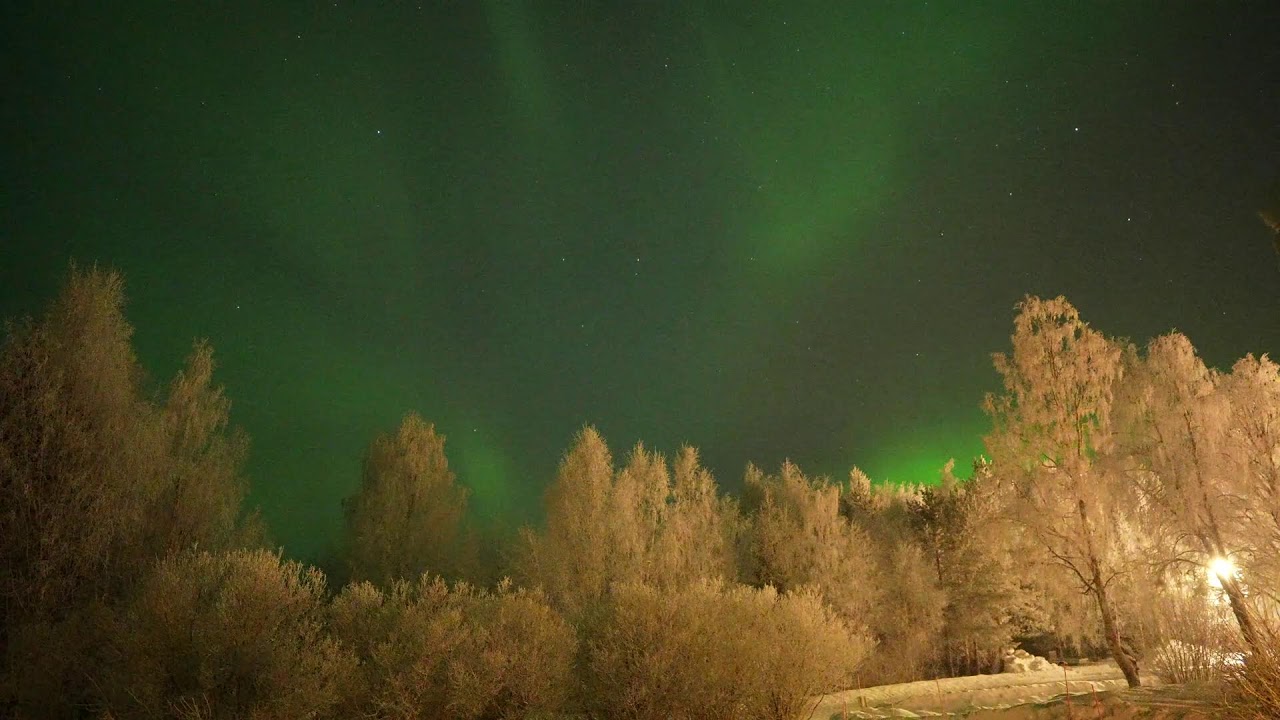 Aurora ao vivo em Överkalix