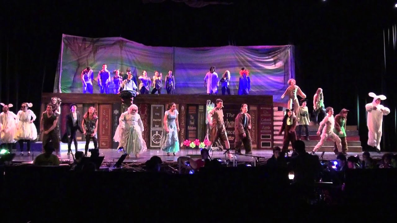 Story of My Life - Shrek the Musical