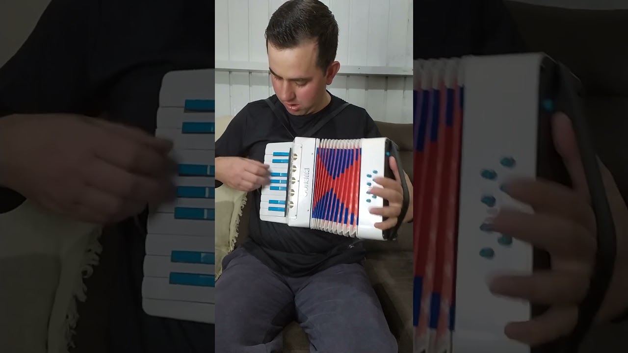Velho casar&atilde;o acordeon 8 baixos #shorts